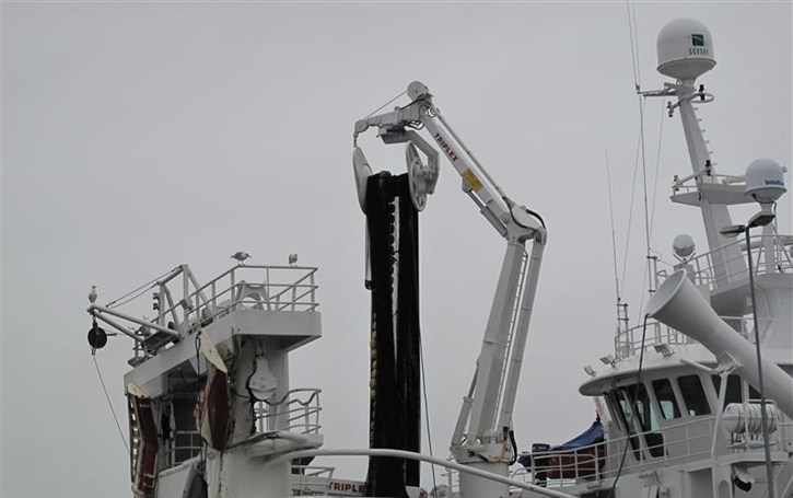 Fra kontroll av Abelone Møgsters levering av makrell hos  Vikomar 9. september 2012